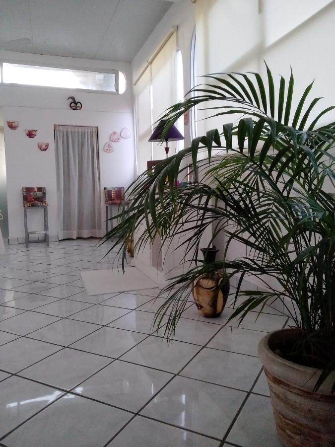 Boutique Basic Hotel Puerto Vallarta Luaran gambar