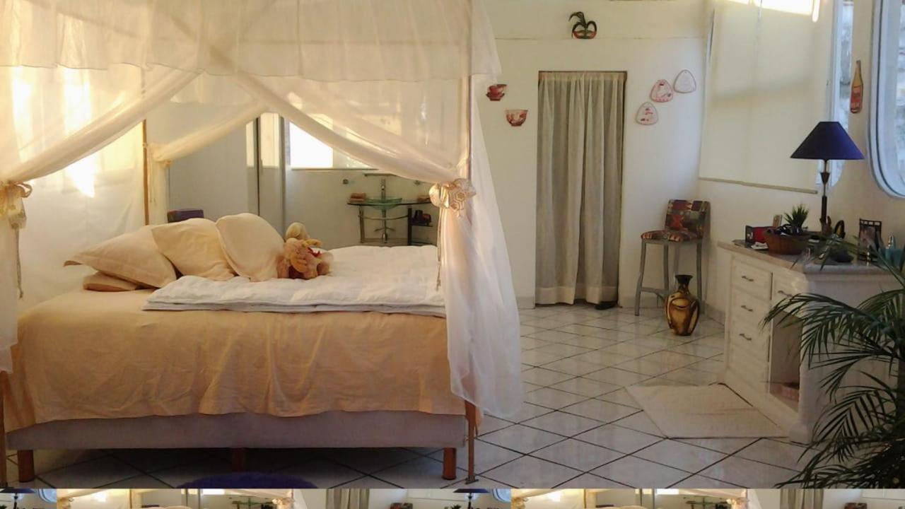 Boutique Basic Hotel Puerto Vallarta Luaran gambar